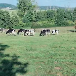 Maison Dans Le Bourg Holiday home