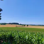 Maison Dans Le Bourg * La Chapelle-Montligeon