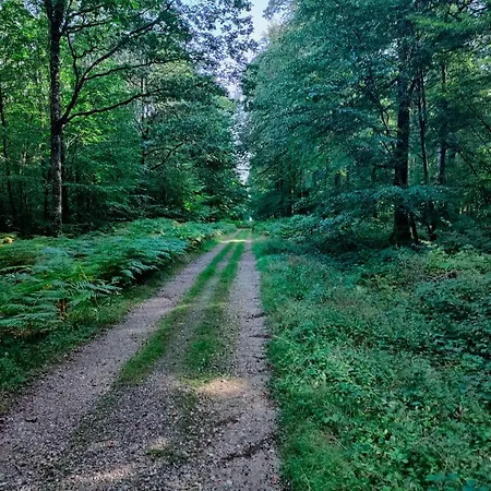 Maison Dans Le Bourg *