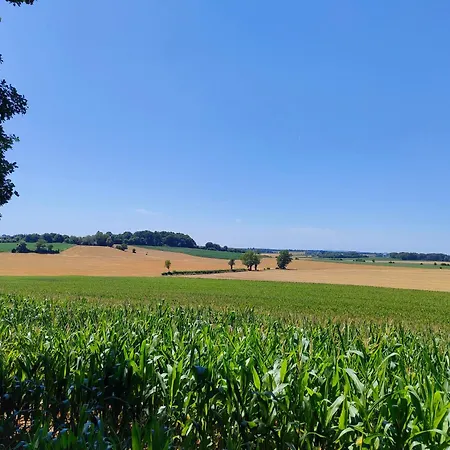 Maison Dans Le Bourg * La Chapelle-Montligeon