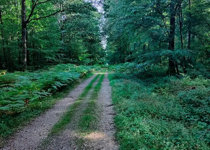 Maison Dans Le Bourg *